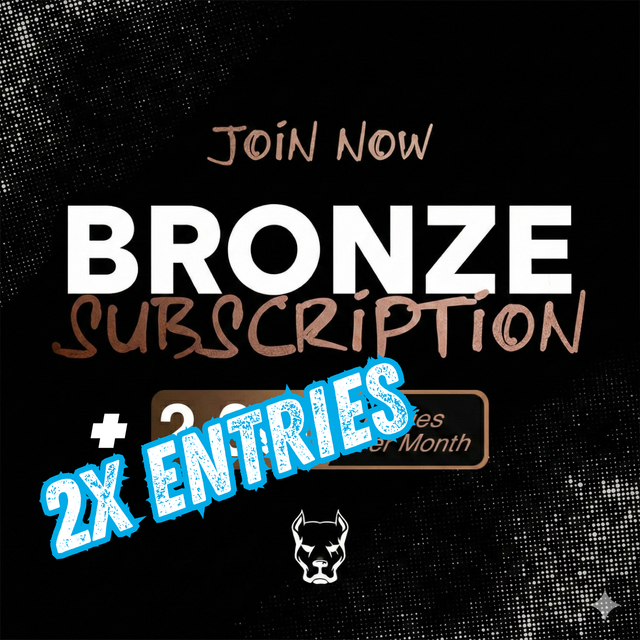 Bronze Pack – Starter Subscription